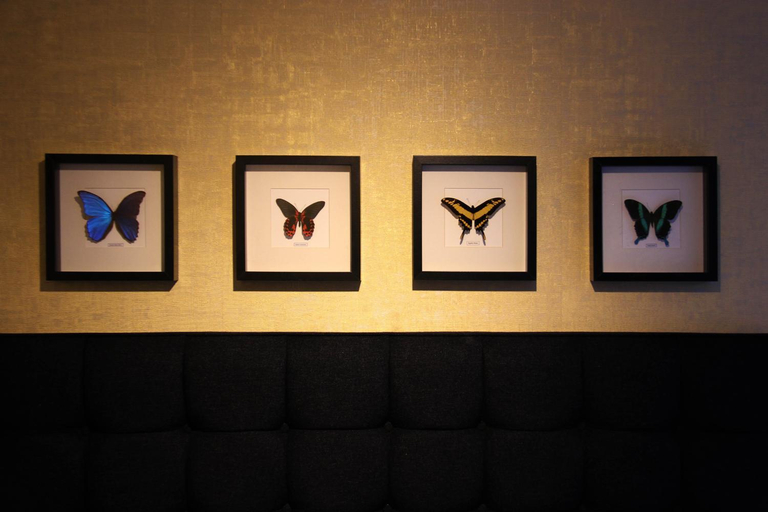 Facilities 4, House Of Freddy, Amsterdam