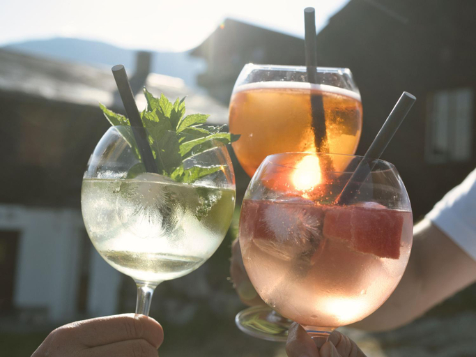 Food & Drinks 4, Hotel Aletschhorn, Brig