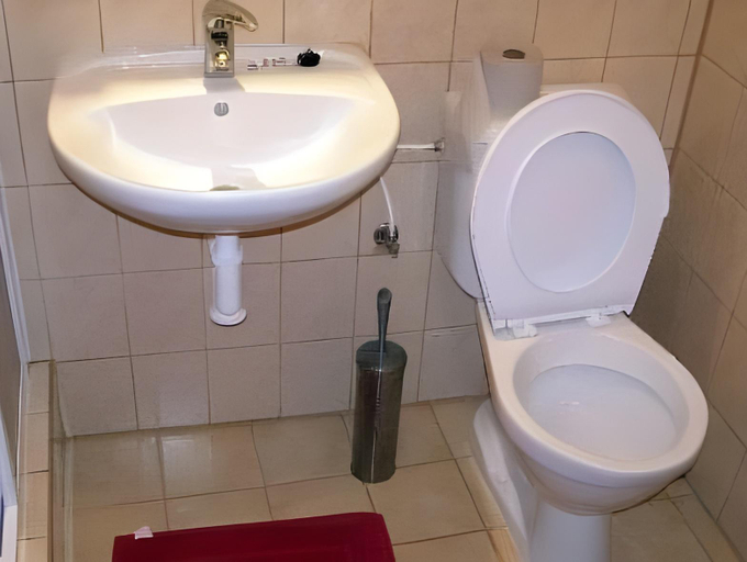 Bathroom 2, Marsovska Rychta, Žďár nad Sázavou
