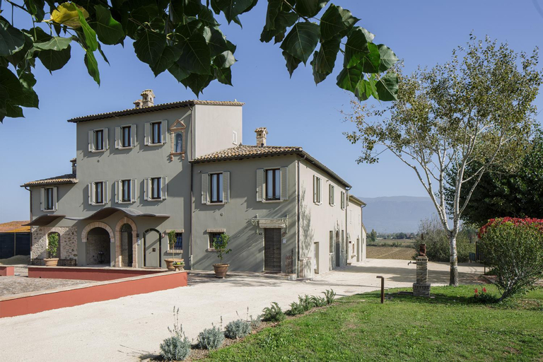SeiPetali, Perugia