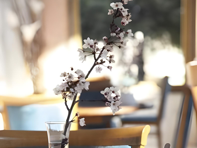 Food & Drinks 5, Hotel Vyzantino, Epirus