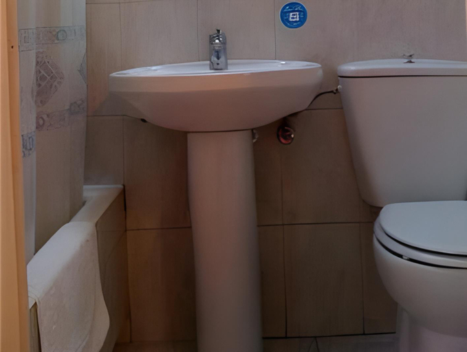 Bathroom 2, Hostal Excelsior, Madrid