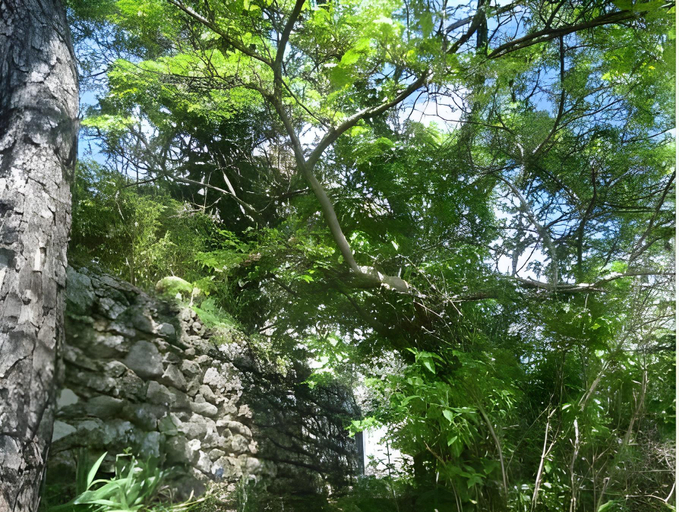Others 4, Le Moulin de Varrians, Var