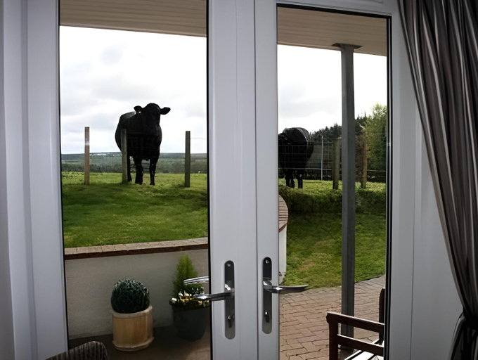 Others 5, Ayrs and Graces - Luxury Bed and Breakfast, South Ayrshire