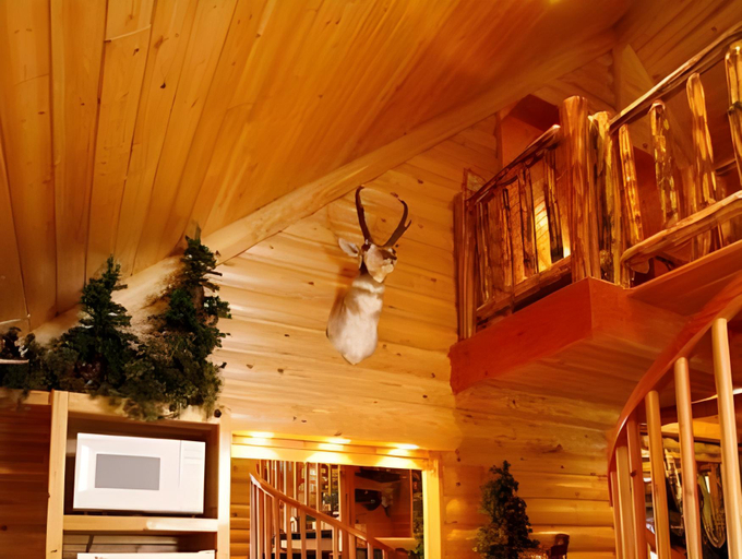 Others 5, Black Swan Inn Luxurious Theme Rooms, Bannock