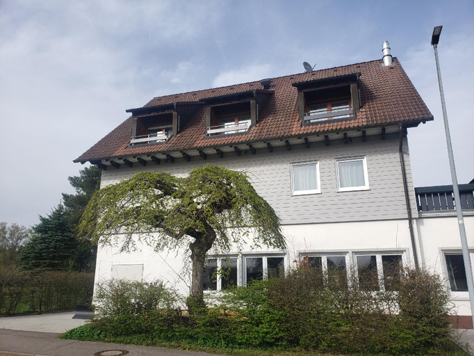 Others 4, Alter Hirsch, Freudenstadt