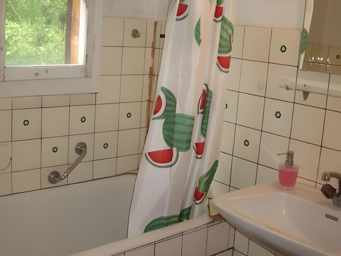 Bathroom 3, Hotel Gemse, Sarganserland