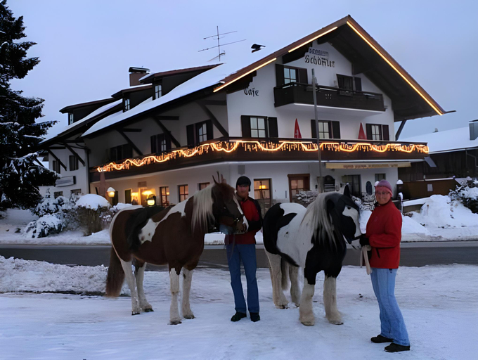 Others 4, Hotel Schafflerhof, Regen