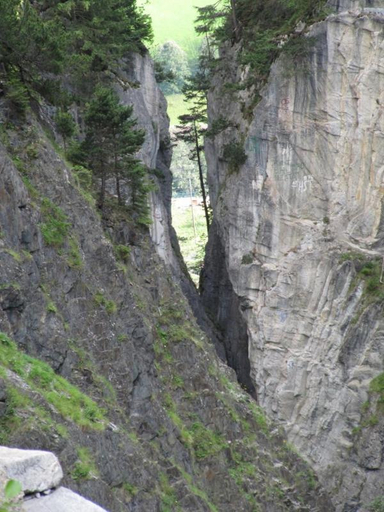 Surrounding environment