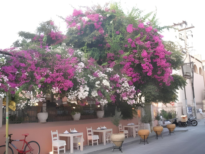 Food & Drinks 5, Iperion Beach, Crete