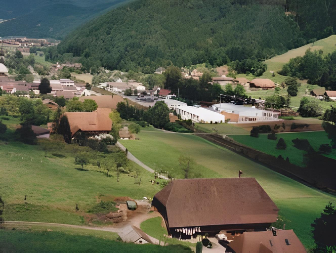 Others 3, Waldebauernhof, Ortenaukreis