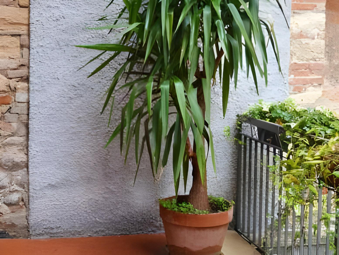 Others 3, Da Virginia B&B, Verona