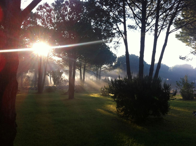 Others 2, Campagne les Jumeaux, Var