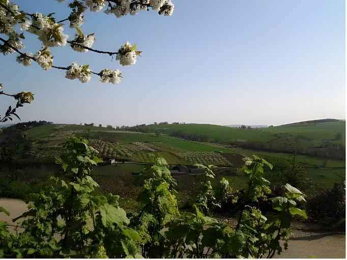 Others 3, Le Clos du Merle, Rhône