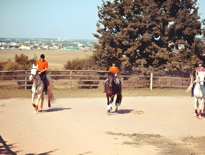 Others 5, Zolota Gora Hotel-Rancho, Uzhhorods'kyi