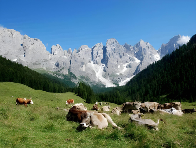 Others 4, Albergo Lozen, Trento