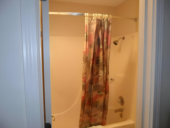 Bathroom 4, Regency Inn Eureka Springs, Carroll