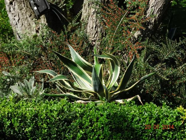 Others 5, Gartenhotel Lenzenhof - Wildschonau- PREMIUMCARD inclusive, Kufstein