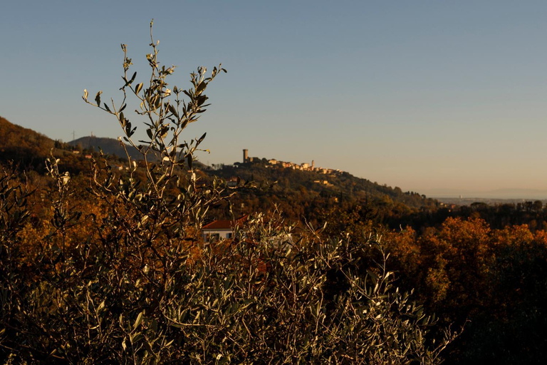 Others 3, Ca' Bianca Bed & Breakfast, Massa Carrara