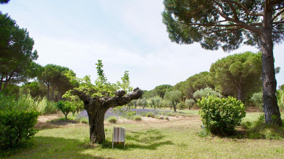 Others 3, Campagne les Jumeaux, Var