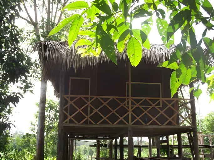 Others 3, Amazon Arowana Lodge, Careiro