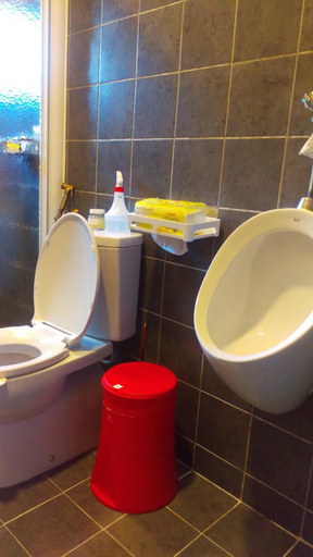 Bathroom 3, ChiShang Taking Off, Taitung