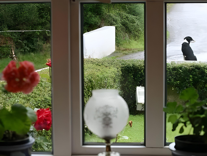 Others 5, Murphys Farmhouse B&B