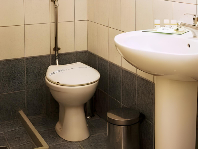 Bathroom 3, Hotel Pappas, Peloponnese