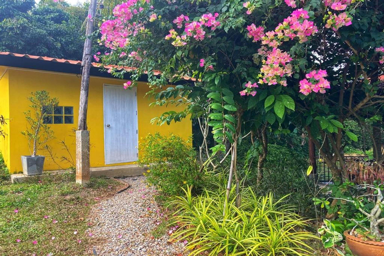 Scenery 5
