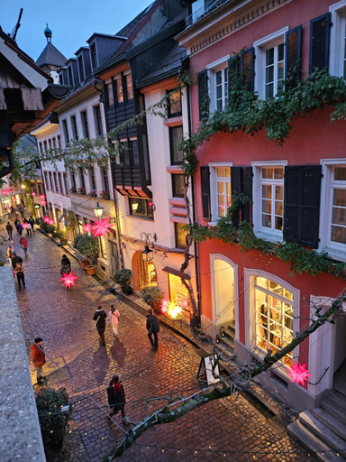 Others 1, Kreuzblume Hotel & Restaurant, Freiburg im Breisgau