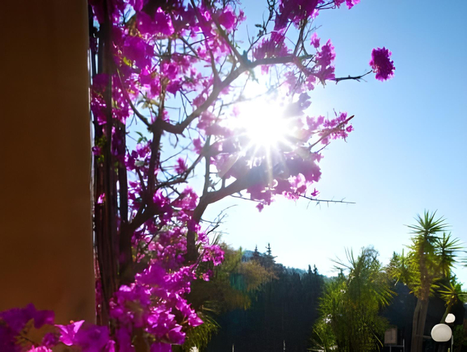 Others 5, Residence Pian Dei Boschi, Savona