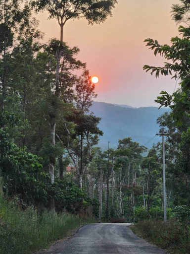Others 5, I-ROOMZ Donimoole Homestay, Chikmagalur
