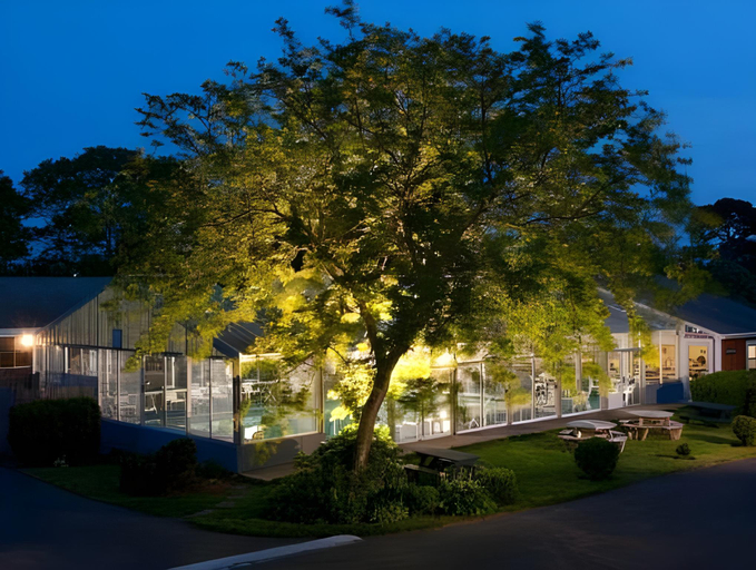 Endless Dunes, A Modern Motel, Barnstable