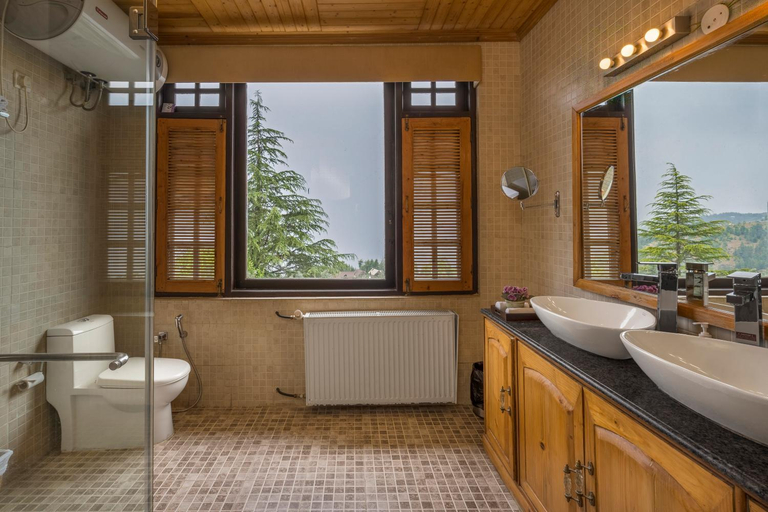 Bathroom, Mahasu House, Shimla