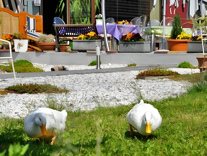 Exterior & Views 2, Erlebnis Post - Hotel mit EigenART, Spittal an der Drau