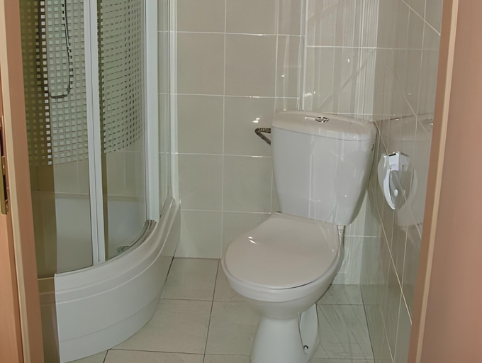 Bathroom 3, Dom Goscinny Pod Brzozami, Poznań City