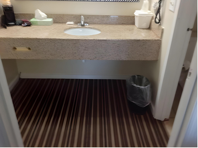 Bathroom 2, Winton Inn & Suites, Barnwell
