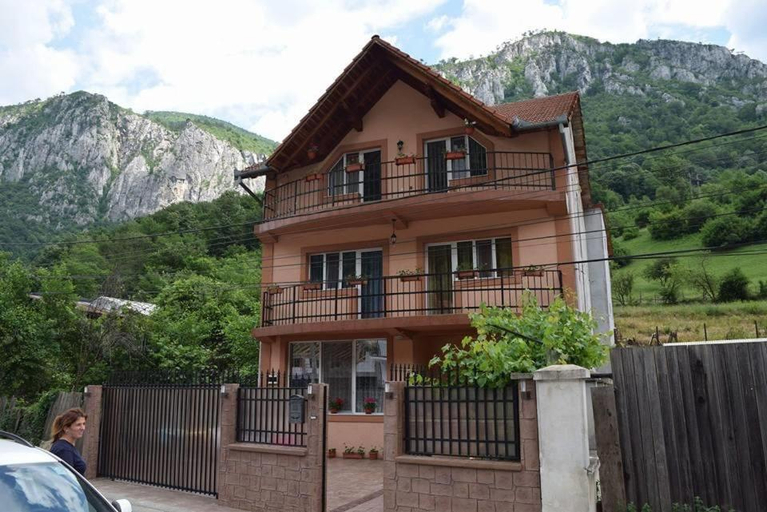 Others 5, Casa Visescu, Baile Herculane