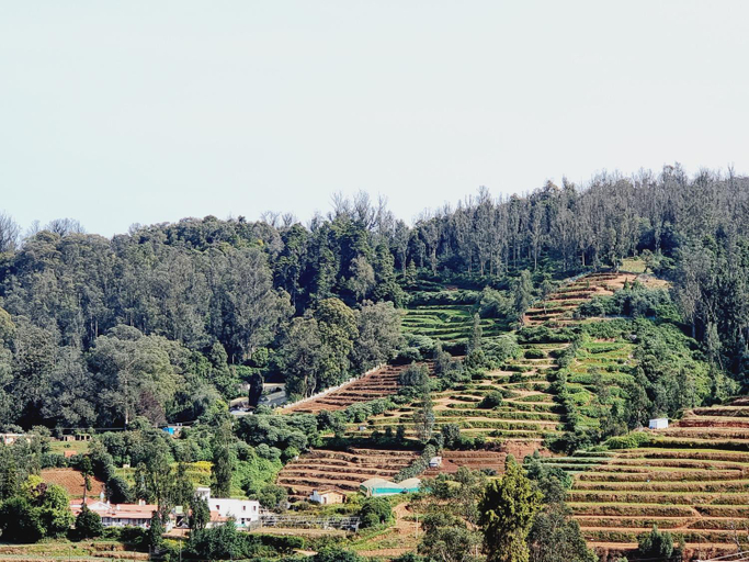 Others 2, HAVEN COTTAGE, The Nilgiris