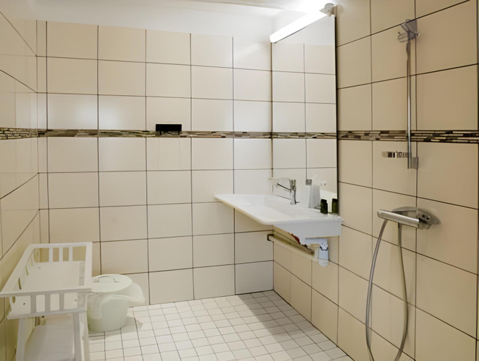 Bathroom 3, Comptoir et Dependances, Isère