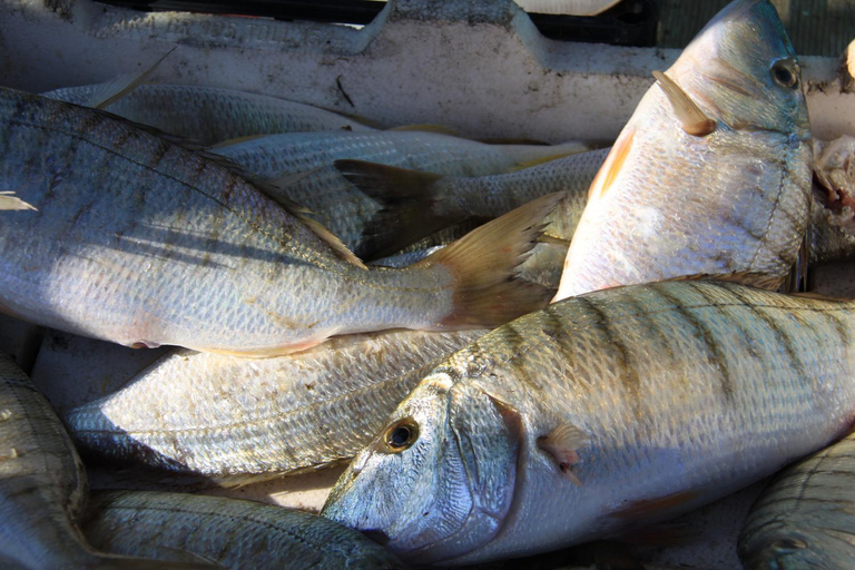 Others 1, Il Pescatore, Trapani