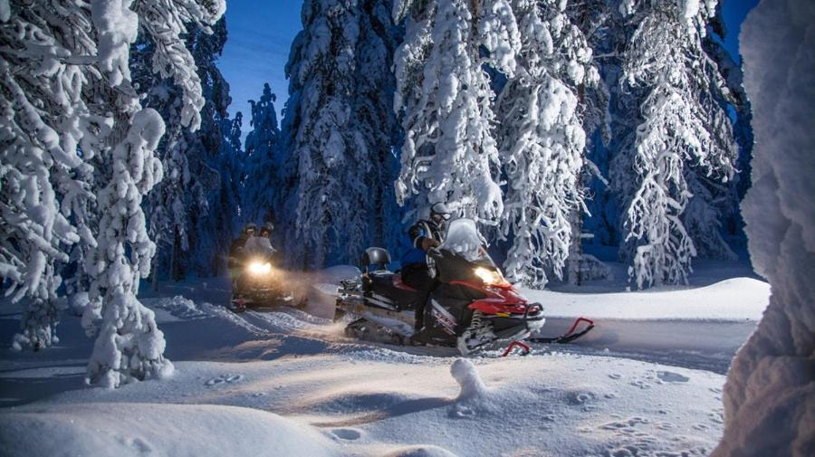 Others 5, Arctic Resort Delight, Lapland