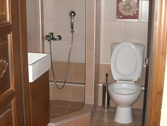 Bathroom, Guesthouse Theodorou, Thessaly
