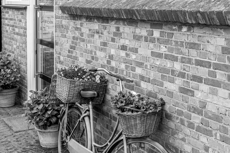 Others 3, B&B Carpe Diem, Hulst