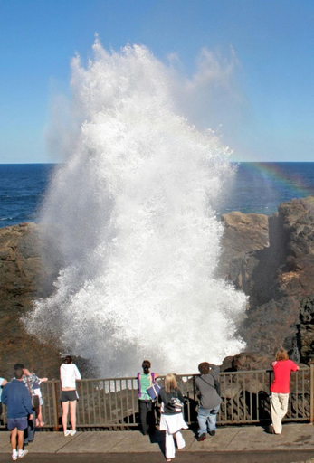 Kiama Beach House & Private Beach & Newly Renovated, Kiama