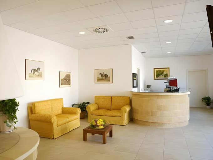 Public Area 3, Delle Rose Hotel & Restaurant, Lecce