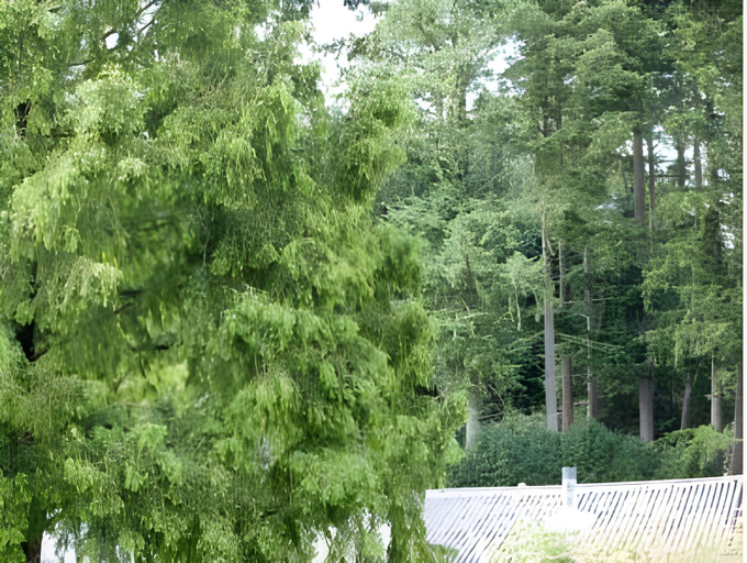 Others 5, Danhostel Viborg, Viborg