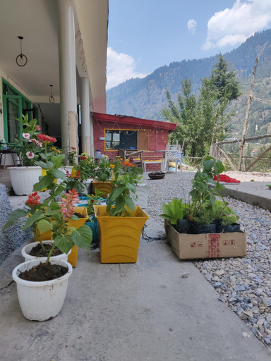 Others 3, Safar Hostel Manali, Kullu
