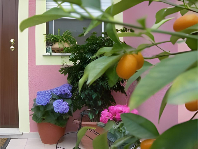 Others 2, Ariedo Bed And Breakfast, Cagliari