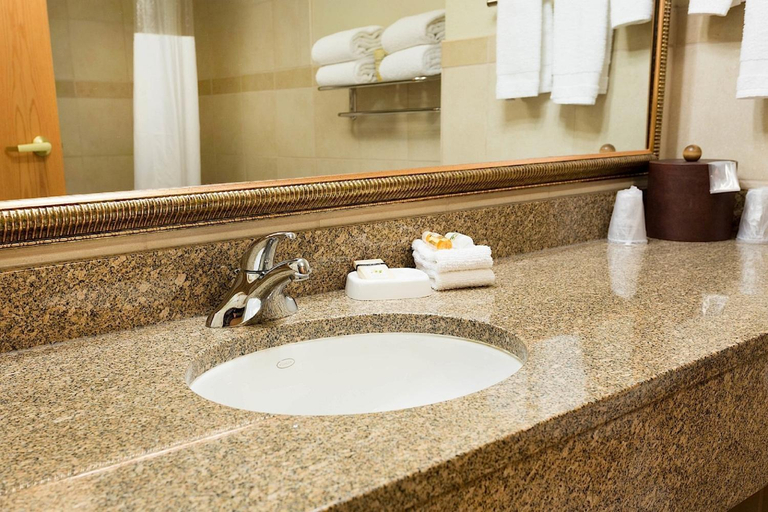 Bathroom, Marv Herzog Hotel, Saginaw